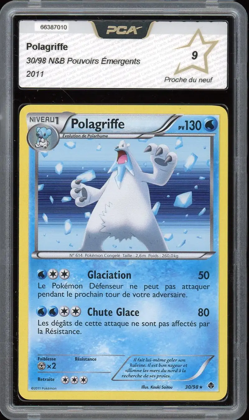 PCA 9 Polagriffe Holo