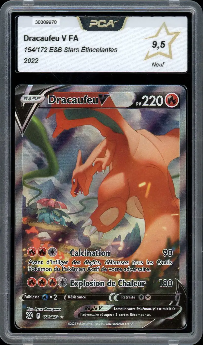 PCA 9.5 Dracaufeu V