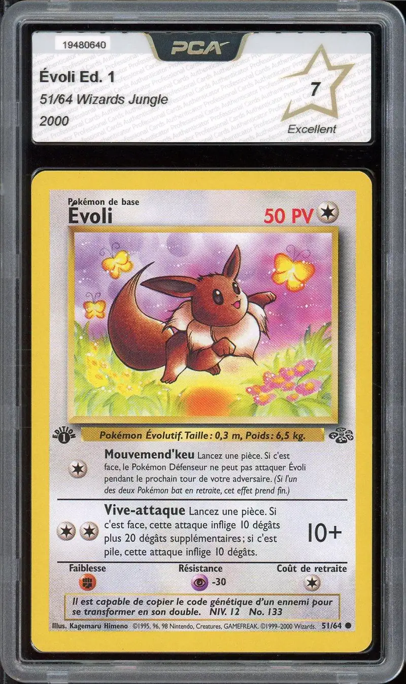 PCA 7 Evoli