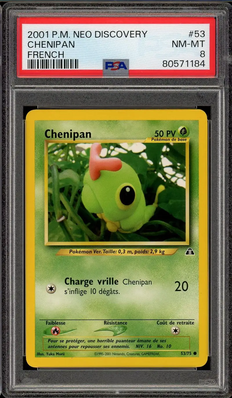 PSA 8 Chenipan
