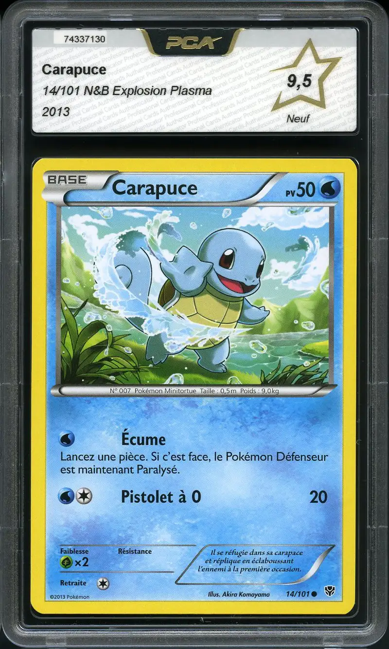 PCA 9.5 Carapuce