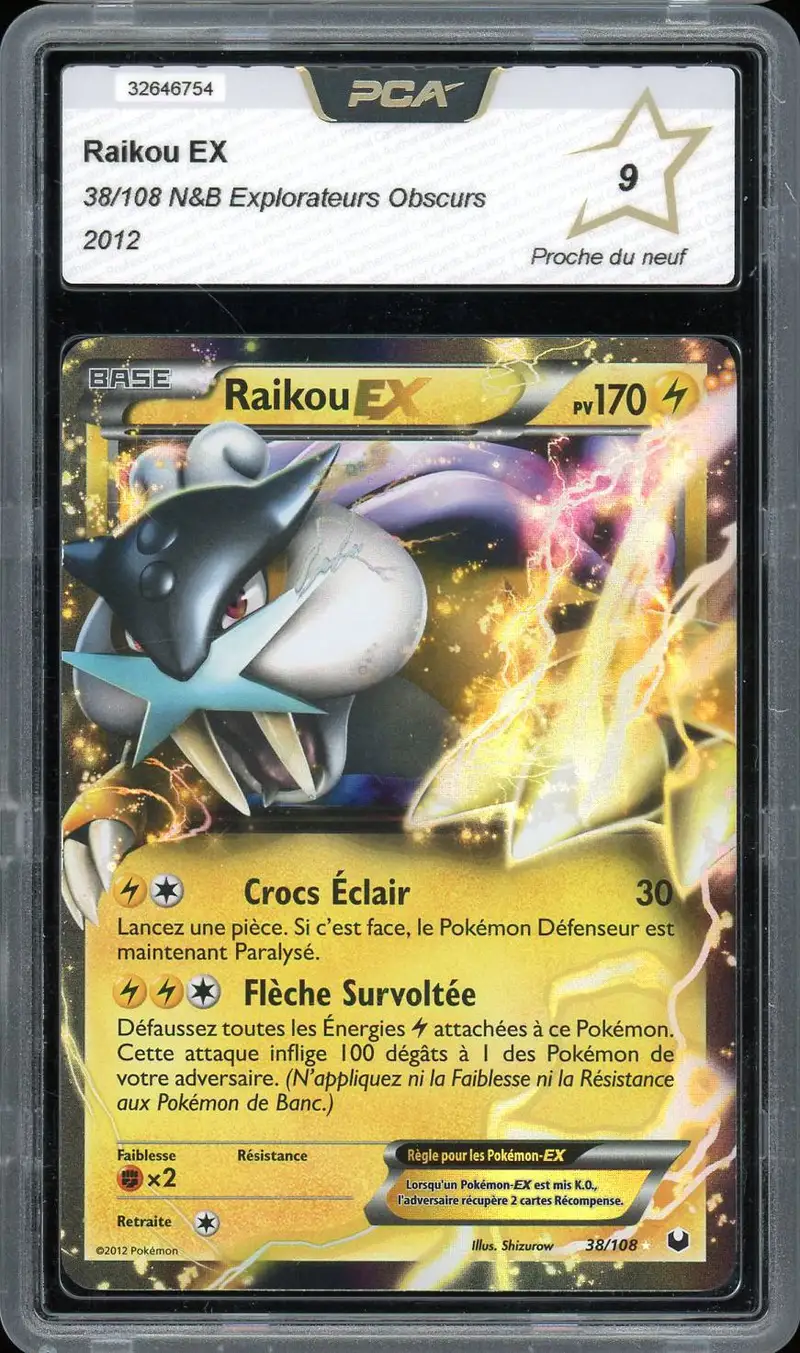 PCA 9 Raikou Ex