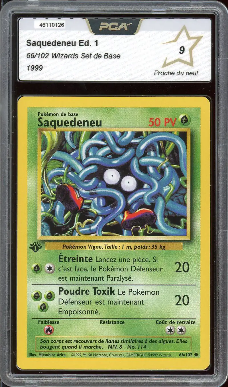 PCA 9 Saquedeneu