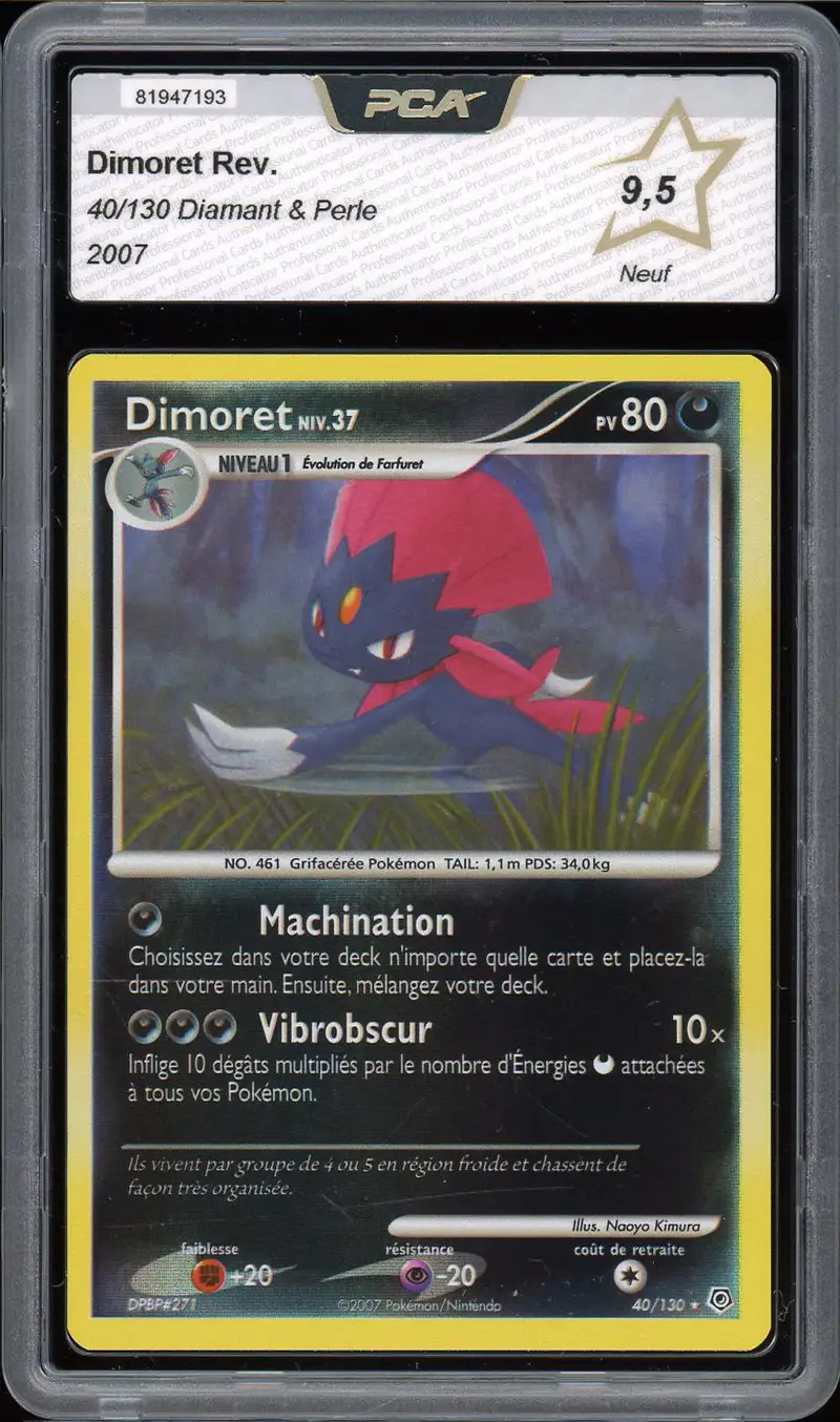 PCA 9.5 Dimoret Reverse
