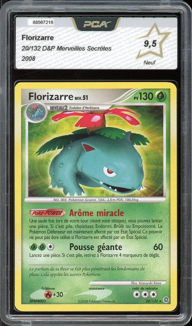 PCA 9.5 Florizarre