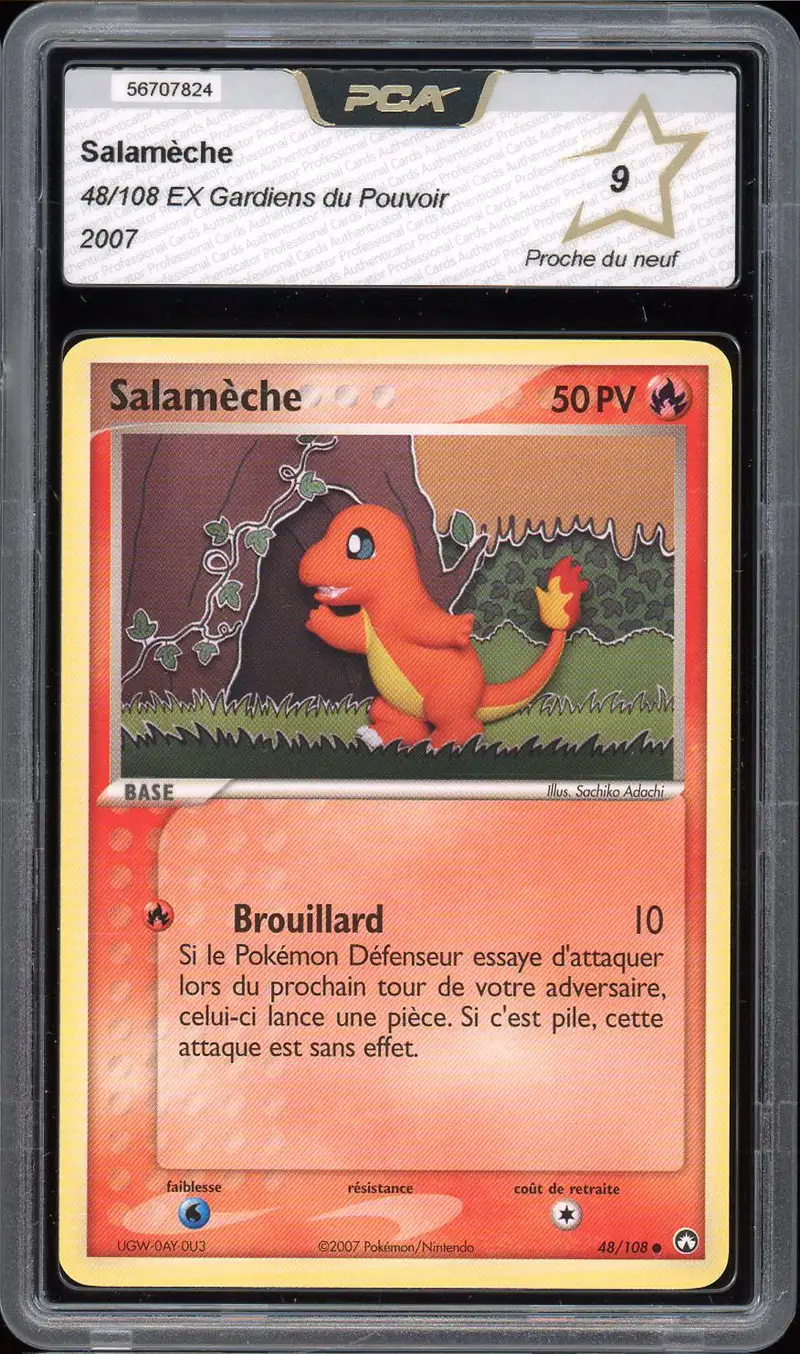 PCA 9 Salamèche