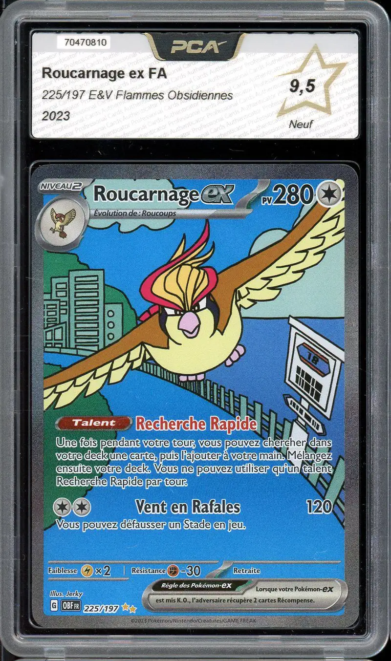 PCA 9.5 Roucarnage Ex