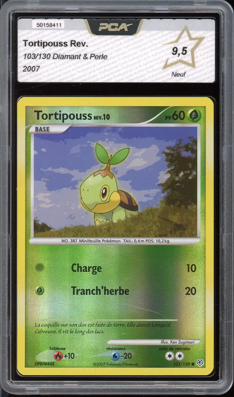 PCA 9.5 Tortipouss Reverse