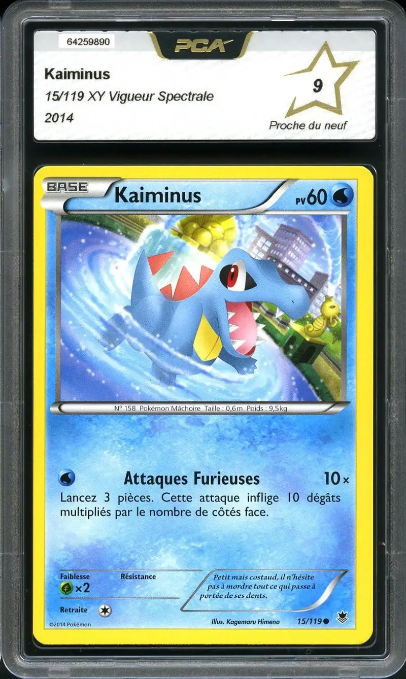 PCA 9 Kaiminus