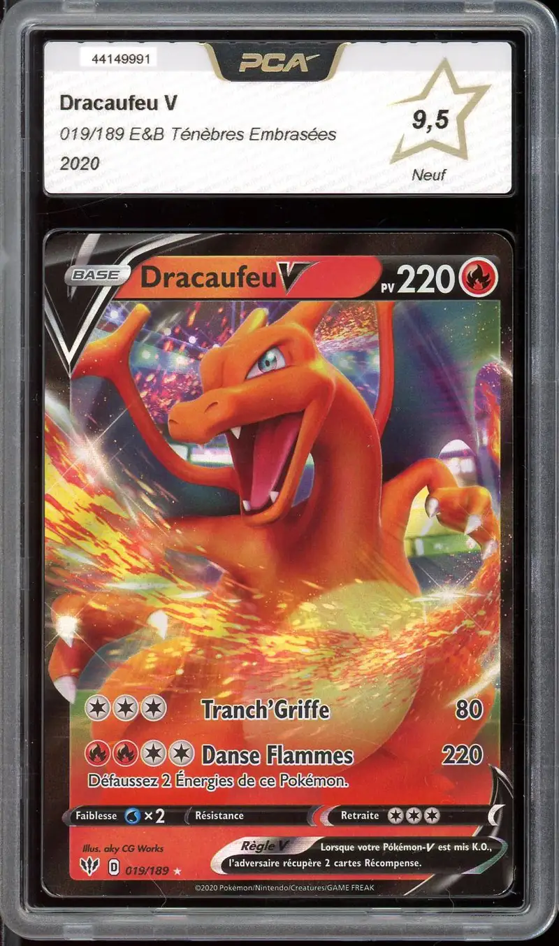 PCA 9.5 Dracaufeu V