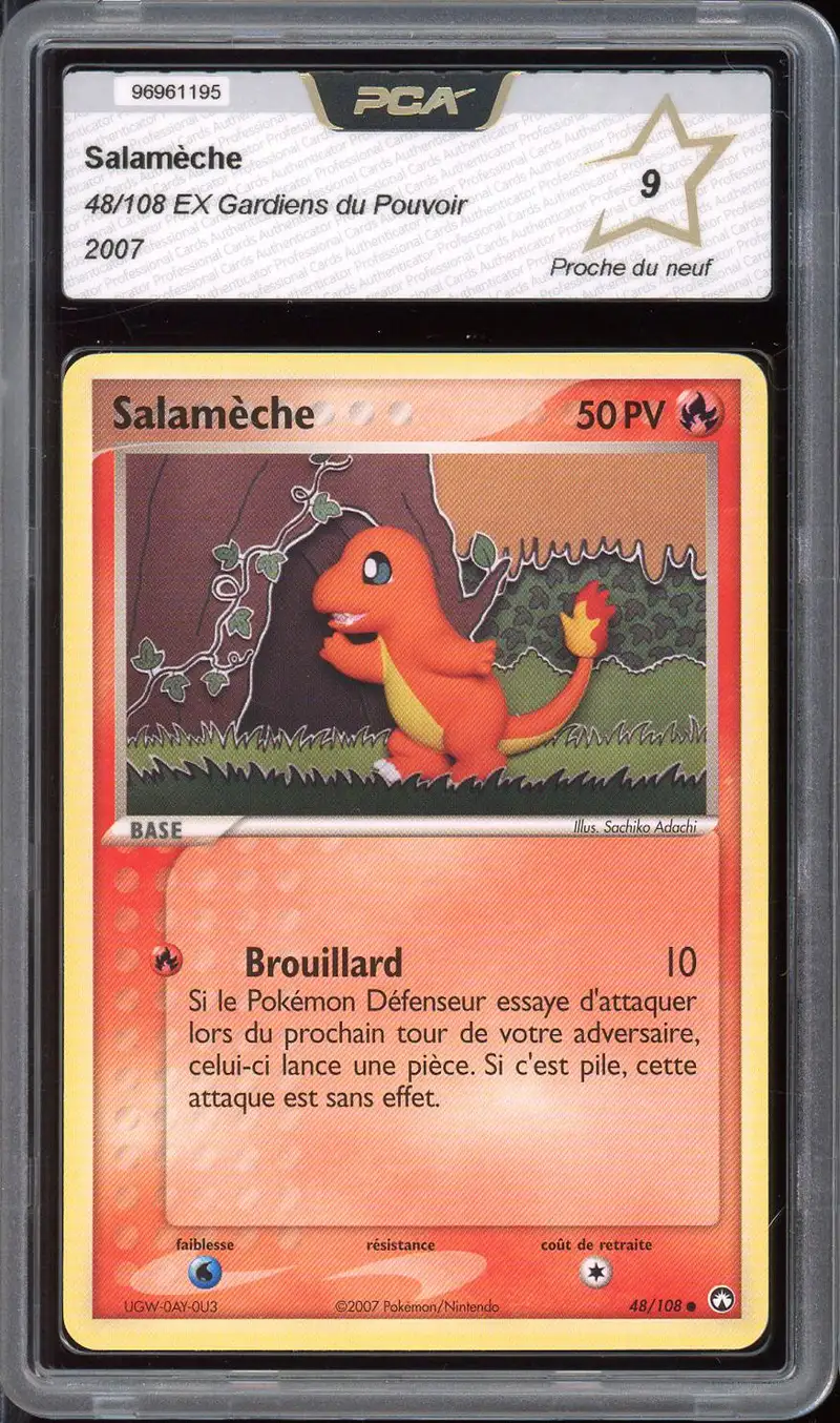 PCA 9 Salamèche