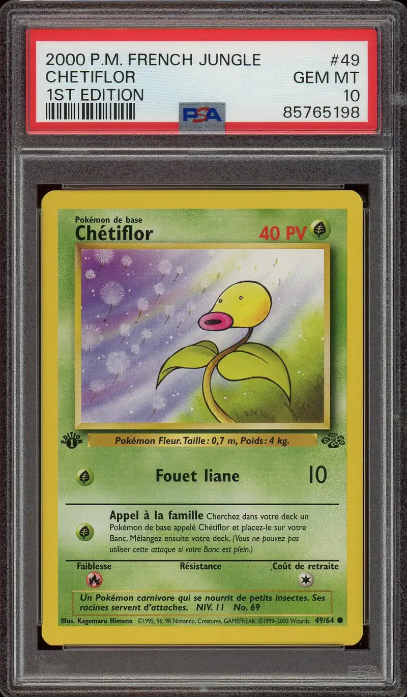PSA 10 Chétiflor