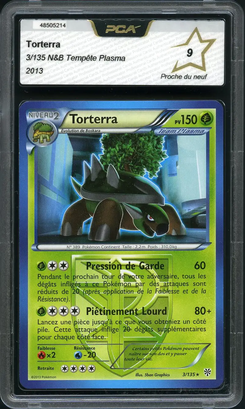 PCA 9 Torterra