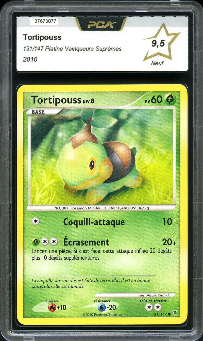 PCA 9.5 Tortipouss