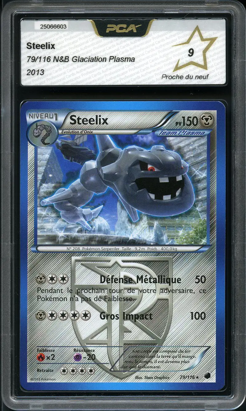PCA 9 Steelix