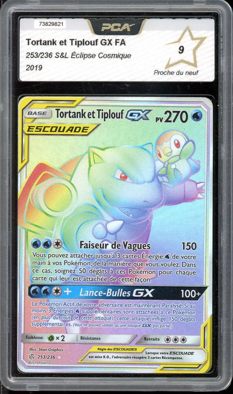 PCA 9 Tortank et Tiplouf Gx Rainbow