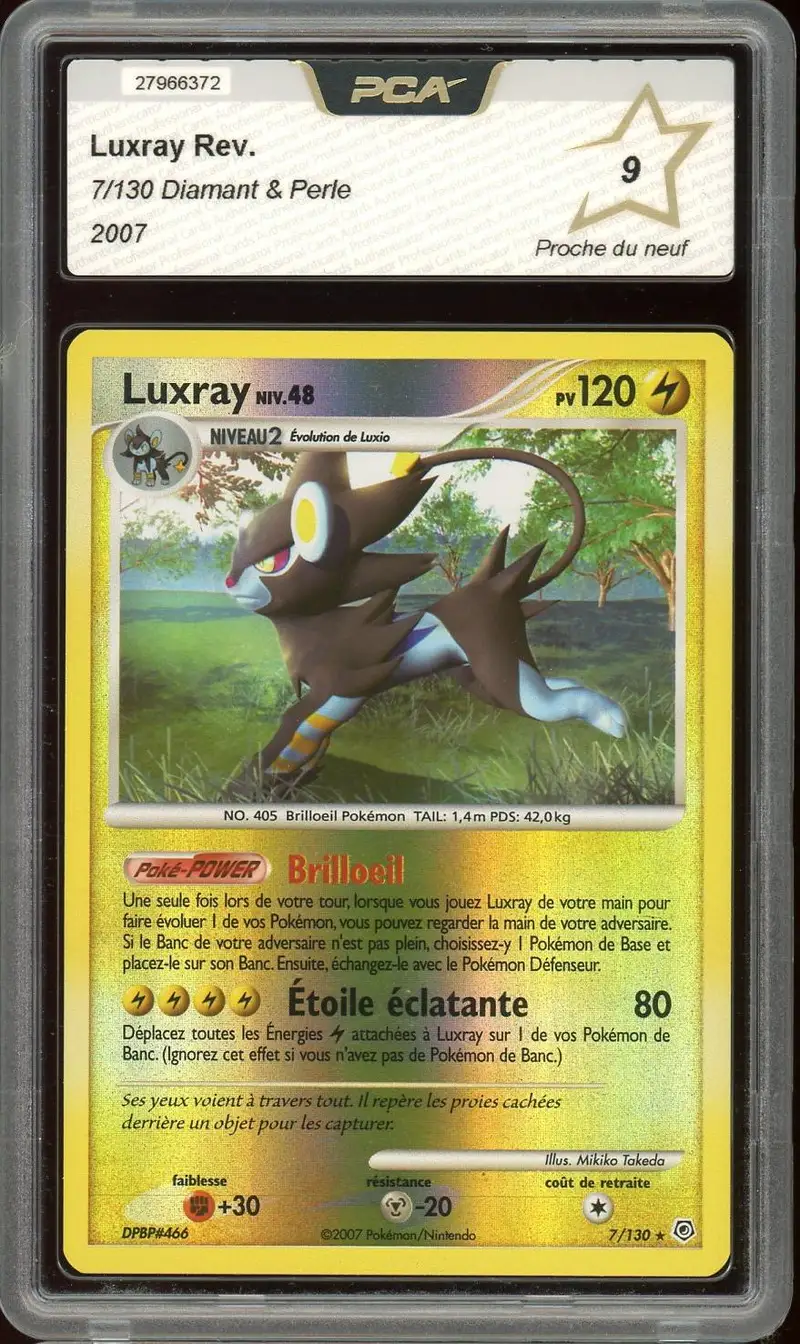 PCA 9 Luxray Reverse