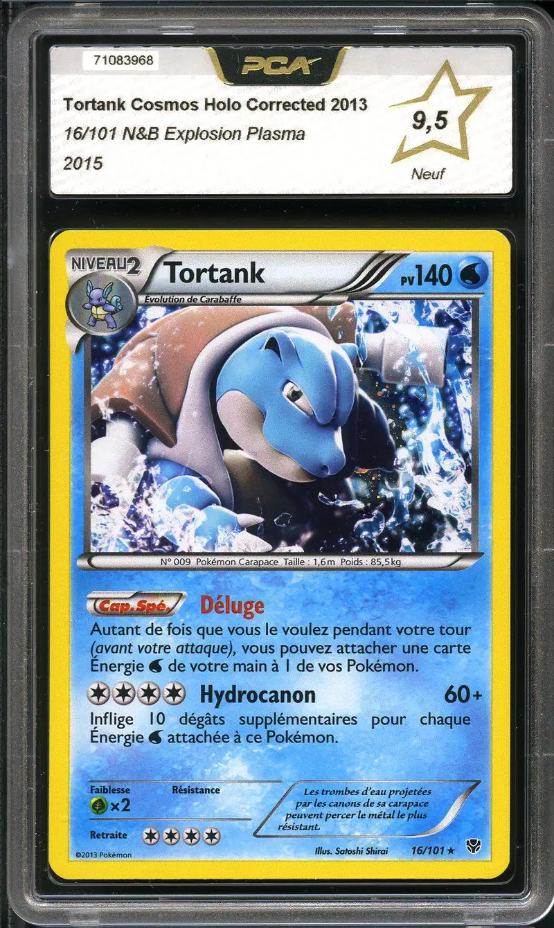 PCA 9.5 Tortank Holo