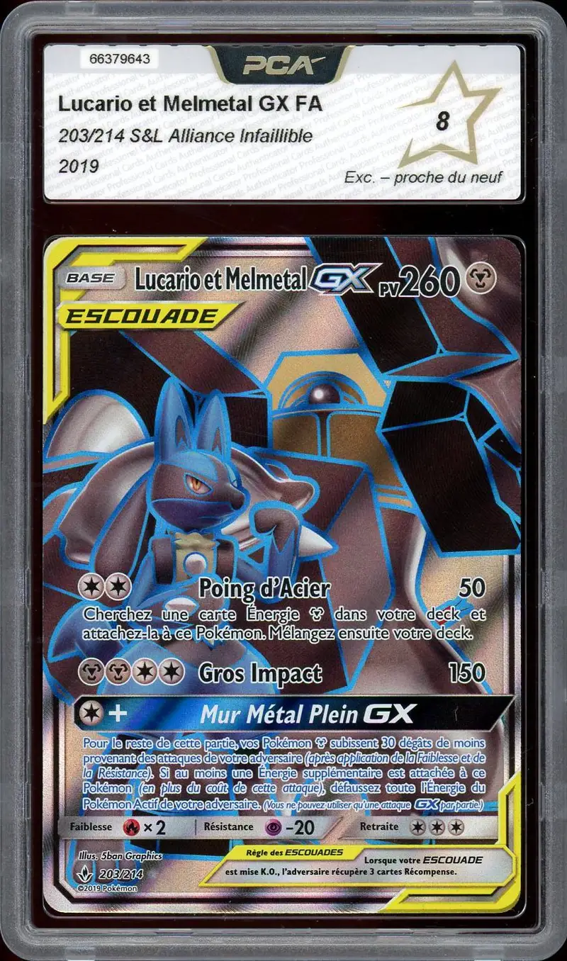 PCA 8 Lucario et Melmetal Gx