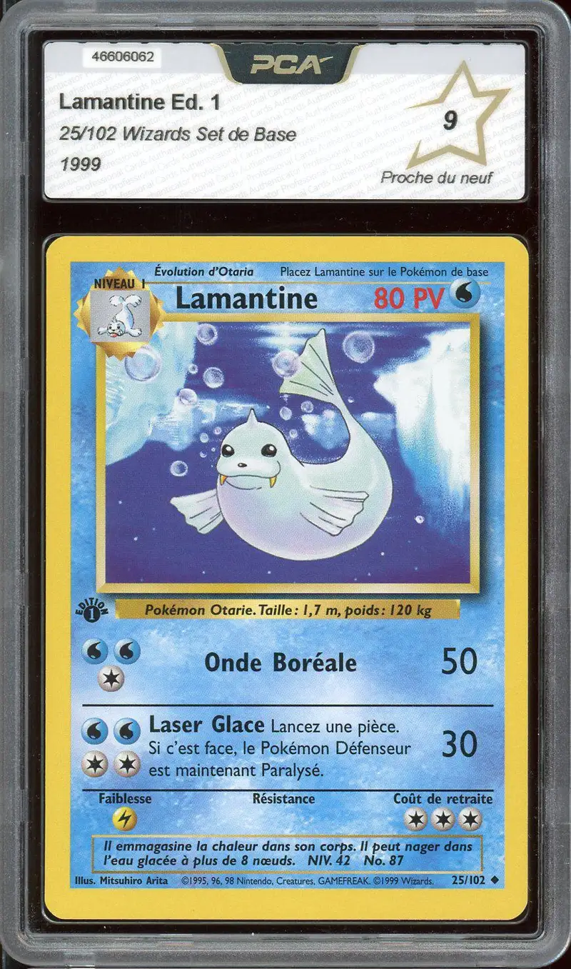 PCA 9 Lamantine