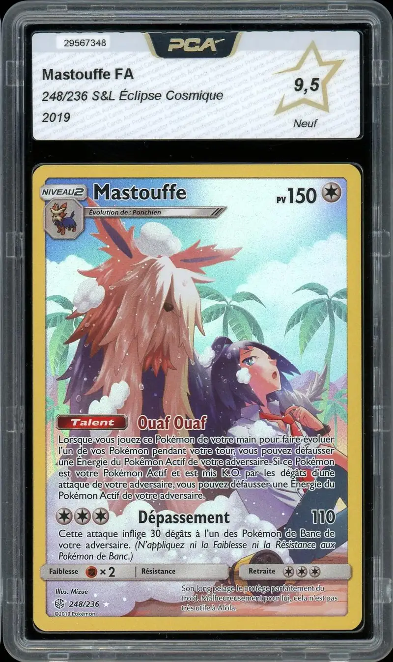 PCA 9.5 Mastouffe