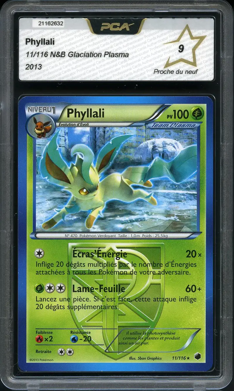 PCA 9 Phyllali