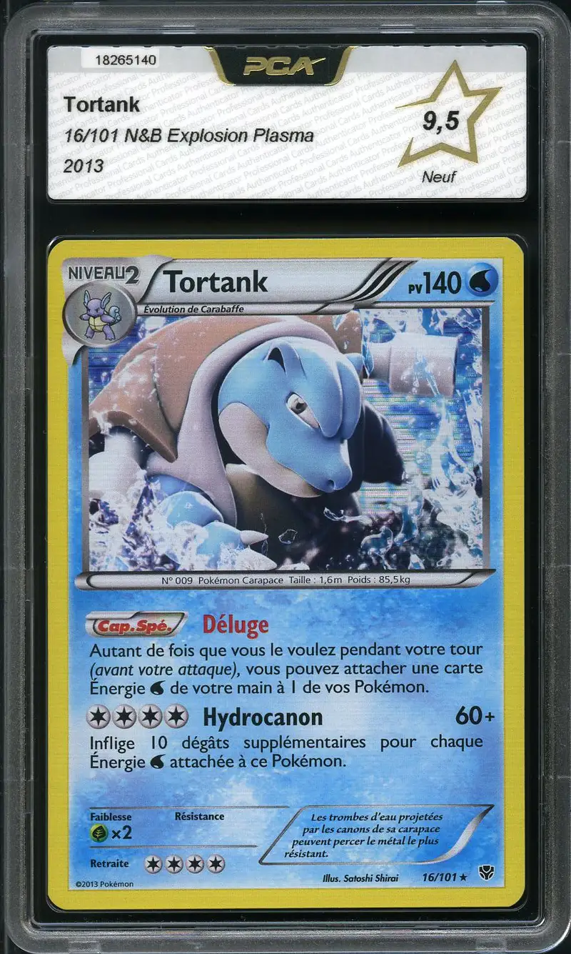 PCA 9.5 Tortank Holo