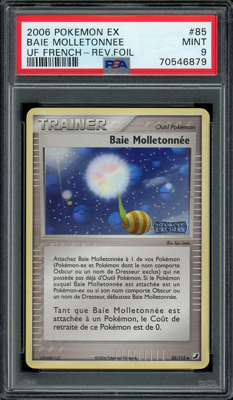PSA 9 Baie Molletonnée Reverse