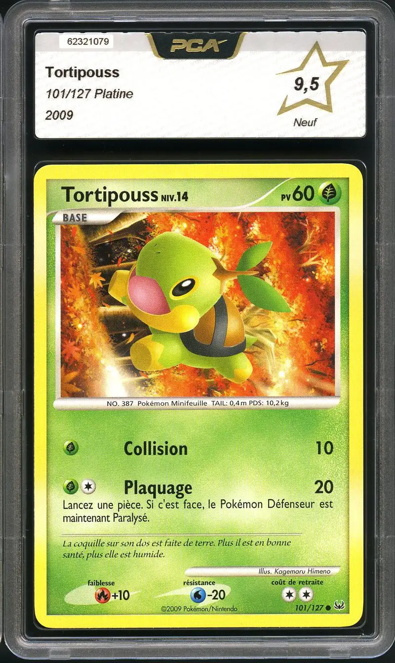 PCA 9.5 Tortipouss