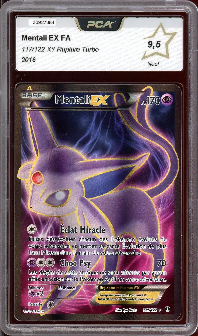 PCA 9.5 Mentali Ex
