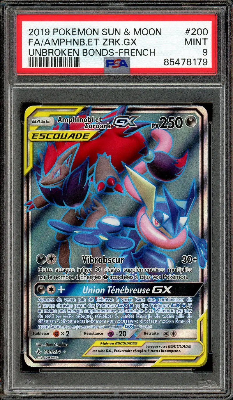 PSA 9 Amphinobi et Zoroark GX