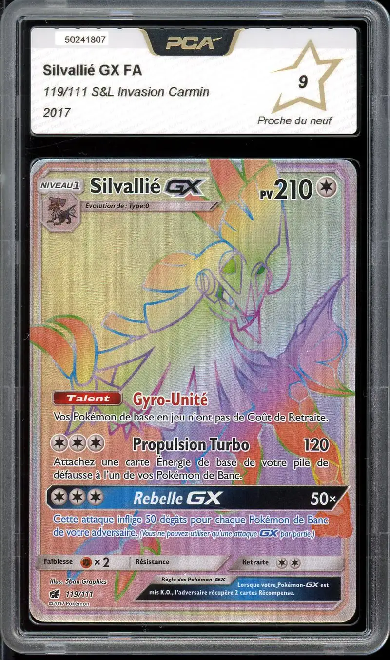 PCA 9 Silvallié Gx Rainbow