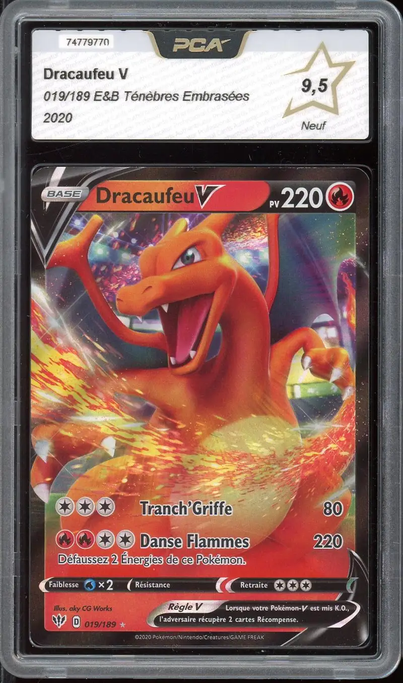 PCA 9.5 Dracaufeu V