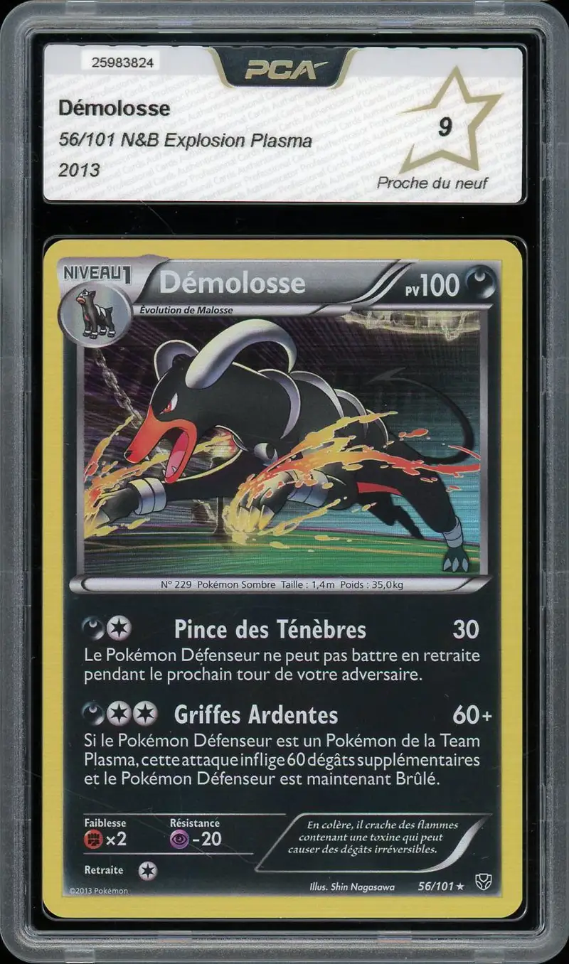 PCA 9 Démolosse Holo