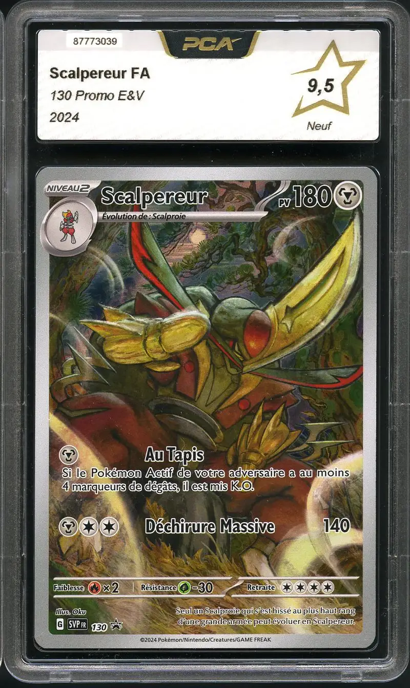 PCA 9.5 Scalpereur
