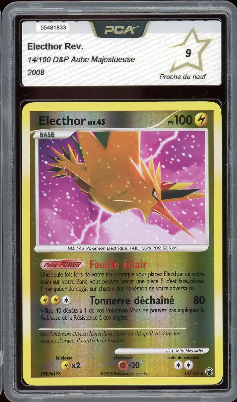 PCA 9 Electhor Reverse