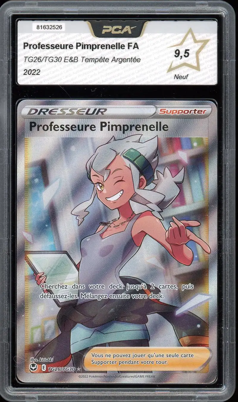 PCA 9.5 Professeure Pimprenelle