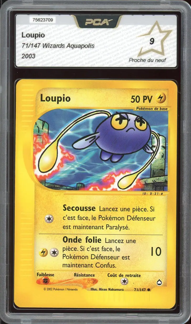PCA 9 Loupio