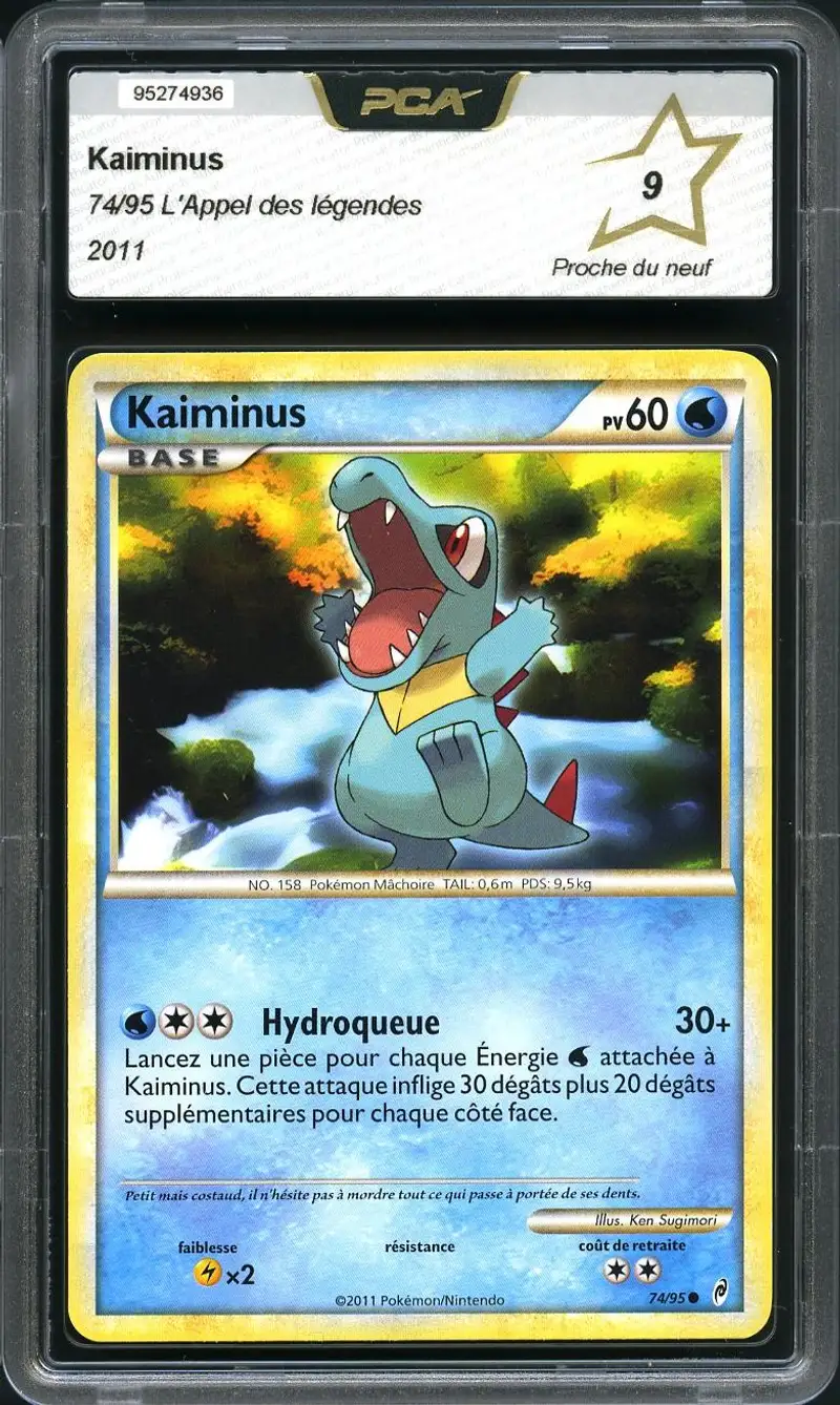 PCA 9 Kaiminus