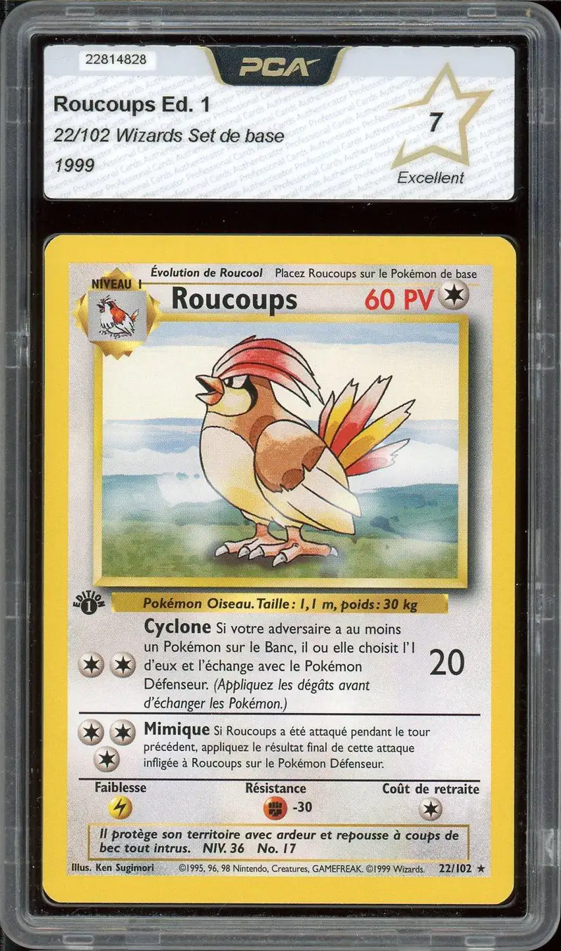 PCA 7 Roucoups