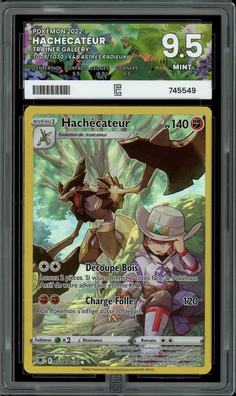 PG 9.5 Hachécateur