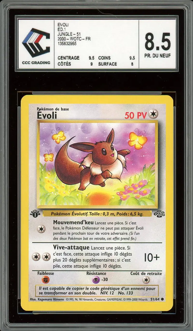 CCC 8.5 Evoli