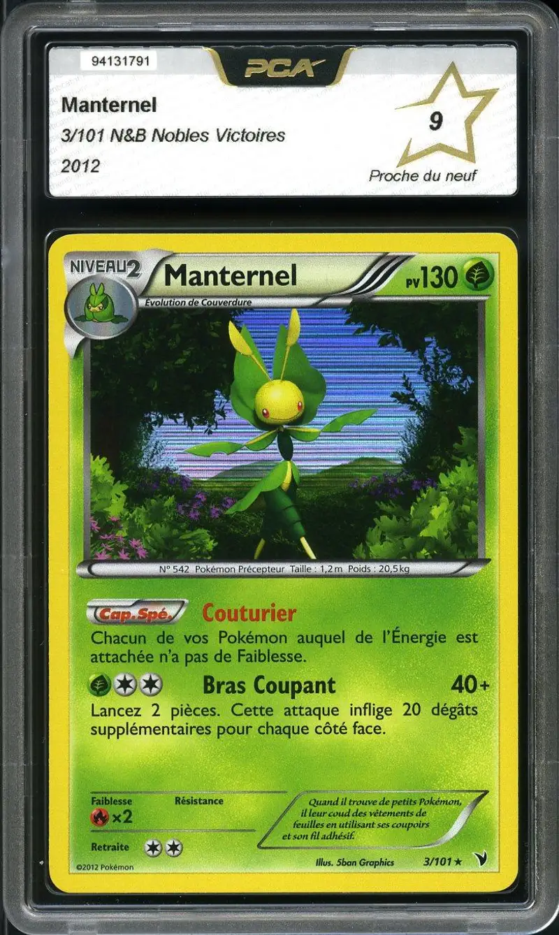PCA 9 Manternel Holo