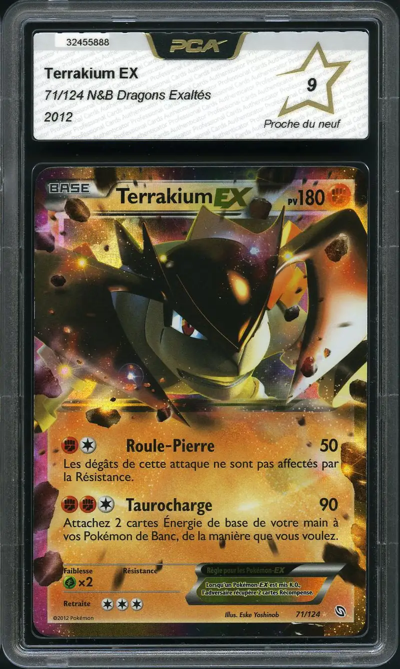 PCA 9 Terrakium Ex