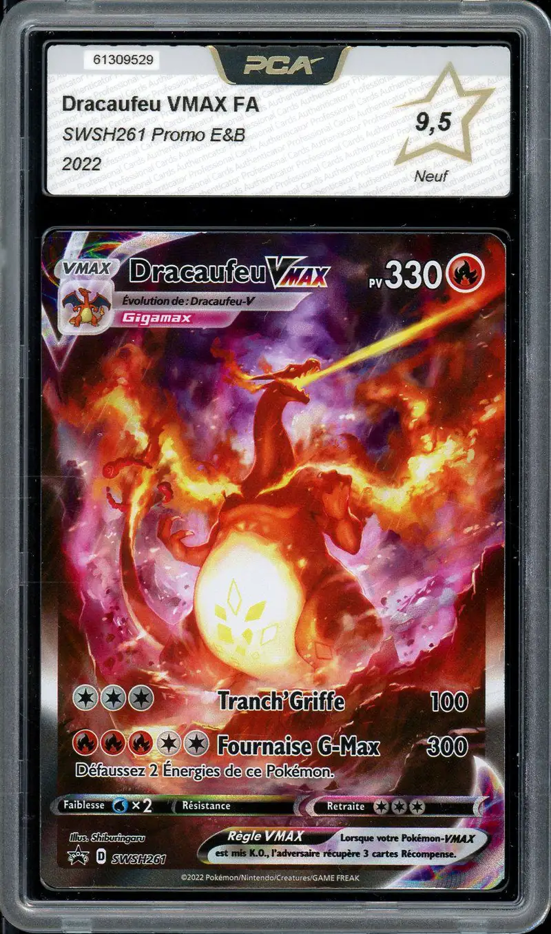 PCA 9.5 Dracaufeu VMax