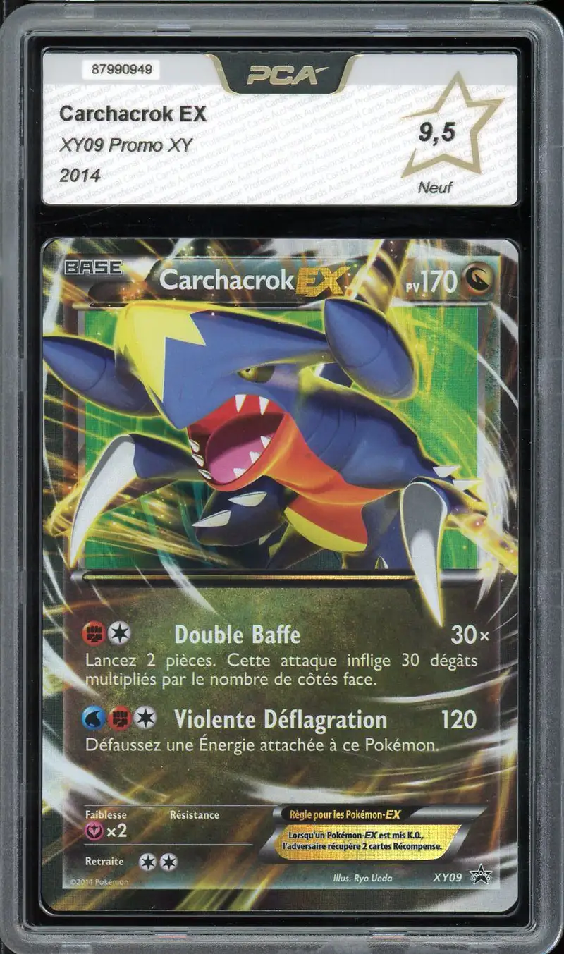 PCA 9.5 Carchacrok Ex
