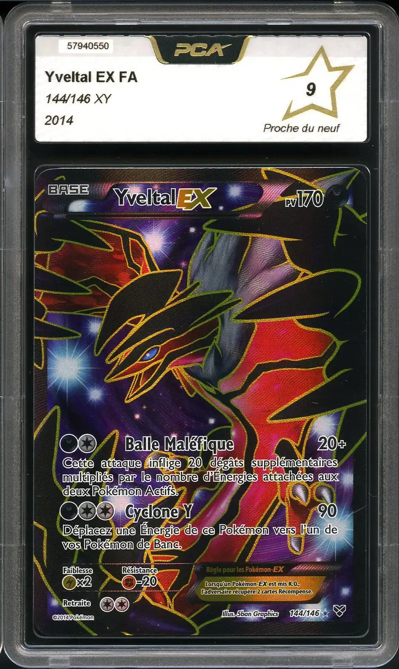 PCA 9 Yveltal Ex