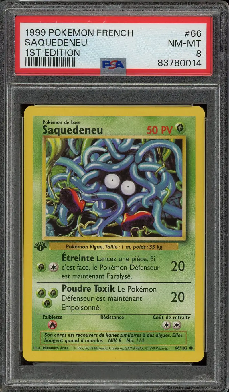 PSA 8 Saquedeneu