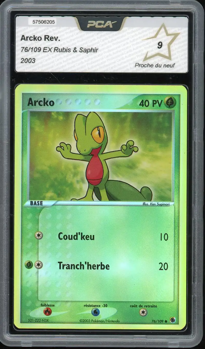 PCA 9 Arcko Reverse