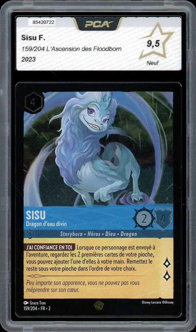 PCA 9.5 Sisu Foil